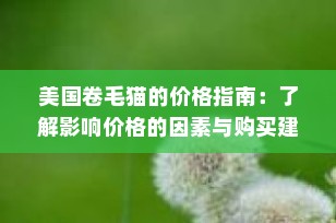 美国卷毛猫的价格指南：了解影响价格的因素与购买建议