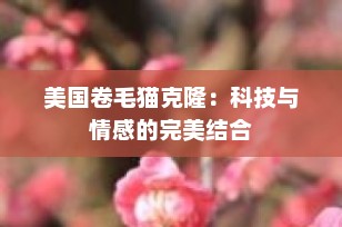 美国卷毛猫克隆：科技与情感的完美结合