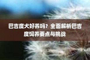 巴吉度犬好养吗？全面解析巴吉度饲养要点与挑战