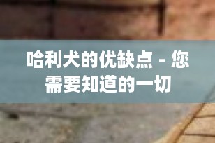 哈利犬的优缺点 - 您需要知道的一切