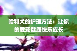 哈利犬的护理方法：让你的爱宠健康快乐成长
