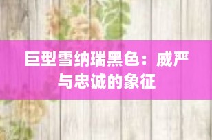 巨型雪纳瑞黑色：威严与忠诚的象征