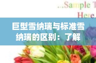 巨型雪纳瑞与标准雪纳瑞的区别：了解你的理想伴侣犬