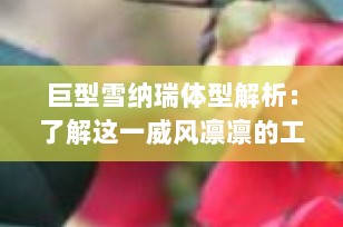 巨型雪纳瑞体型解析：了解这一威风凛凛的工作犬