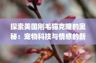 探索美国刚毛猫克隆的奥秘：宠物科技与情感的新篇章