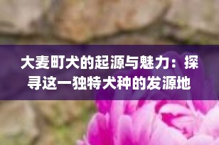 大麦町犬的起源与魅力：探寻这一独特犬种的发源地