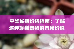 中华雀猫价格指南：了解这种珍稀宠物的市场价值