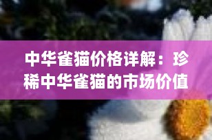 中华雀猫价格详解：珍稀中华雀猫的市场价值与保护意义