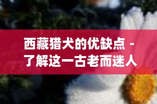 西藏猎犬的优缺点 - 了解这一古老而迷人的伴侣犬