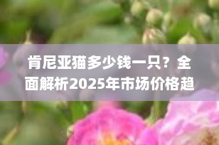 肯尼亚猫多少钱一只？全面解析2025年市场价格趋势