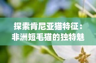 探索肯尼亚猫特征：非洲短毛猫的独特魅力