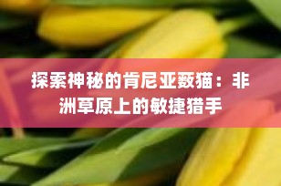 探索神秘的肯尼亚薮猫：非洲草原上的敏捷猎手