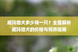 威玛猎犬多少钱一只？全面解析威玛猎犬的价格与饲养指南