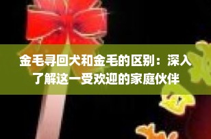 金毛寻回犬和金毛的区别：深入了解这一受欢迎的家庭伙伴