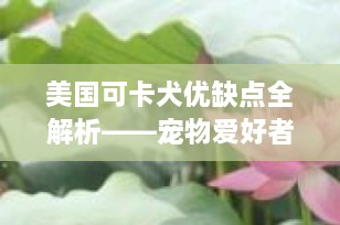 美国可卡犬优缺点全解析——宠物爱好者的理想选择？