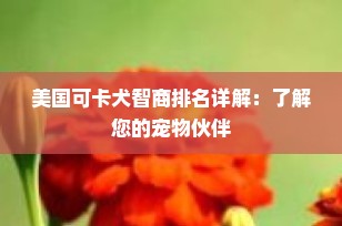 美国可卡犬智商排名详解：了解您的宠物伙伴