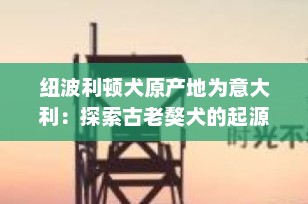 纽波利顿犬原产地为意大利：探索古老獒犬的起源与魅力