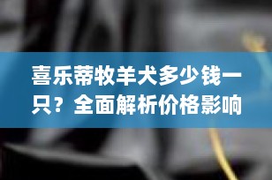 喜乐蒂牧羊犬多少钱一只？全面解析价格影响因素与选购指南