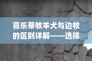 喜乐蒂牧羊犬与边牧的区别详解——选择最适合你的宠物伙伴