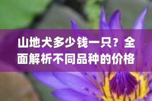 山地犬多少钱一只？全面解析不同品种的价格区间与购买指南