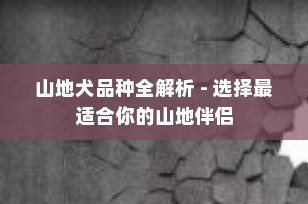 山地犬品种全解析 - 选择最适合你的山地伴侣