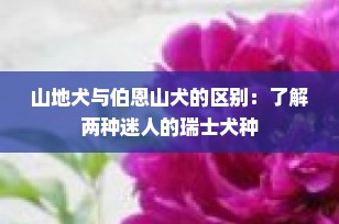 山地犬与伯恩山犬的区别：了解两种迷人的瑞士犬种