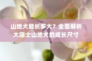 山地犬能长多大？全面解析大瑞士山地犬的成长尺寸