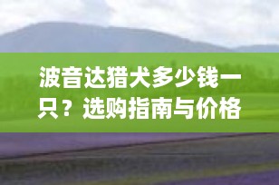 波音达猎犬多少钱一只？选购指南与价格解析
