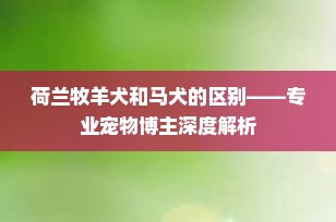 荷兰牧羊犬和马犬的区别——专业宠物博主深度解析