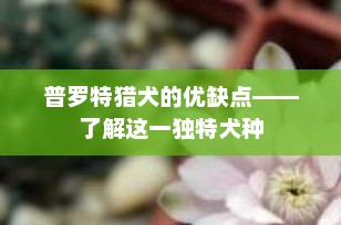 普罗特猎犬的优缺点——了解这一独特犬种