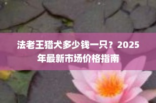 法老王猎犬多少钱一只？2025年最新市场价格指南