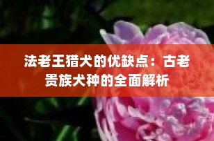法老王猎犬的优缺点：古老贵族犬种的全面解析