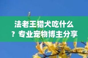 法老王猎犬吃什么？专业宠物博主分享最佳饮食指南