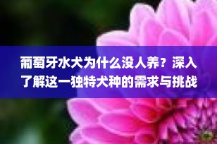 葡萄牙水犬为什么没人养？深入了解这一独特犬种的需求与挑战