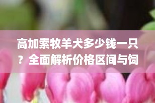 高加索牧羊犬多少钱一只？全面解析价格区间与饲养要点