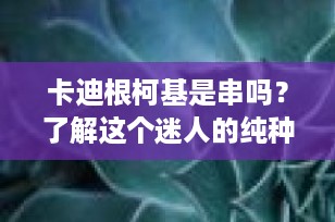 卡迪根柯基是串吗？了解这个迷人的纯种犬