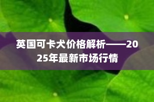 英国可卡犬价格解析——2025年最新市场行情