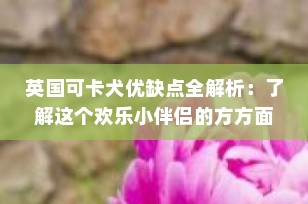 英国可卡犬优缺点全解析：了解这个欢乐小伴侣的方方面面