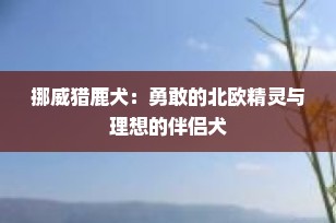 挪威猎鹿犬：勇敢的北欧精灵与理想的伴侣犬