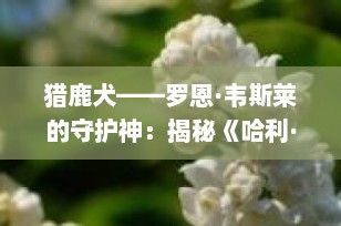猎鹿犬——罗恩·韦斯莱的守护神：揭秘《哈利·波特》中的魔法生物