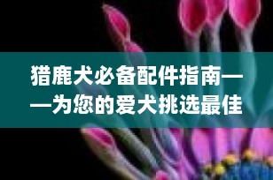 猎鹿犬必备配件指南——为您的爱犬挑选最佳装备