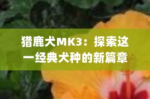猎鹿犬MK3：探索这一经典犬种的新篇章
