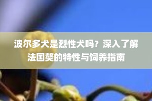 波尔多犬是烈性犬吗？深入了解法国獒的特性与饲养指南