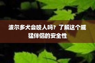 波尔多犬会咬人吗？了解这个威猛伴侣的安全性