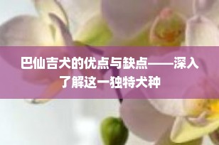巴仙吉犬的优点与缺点——深入了解这一独特犬种