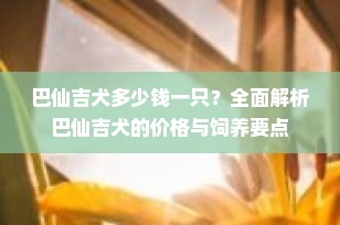 巴仙吉犬多少钱一只？全面解析巴仙吉犬的价格与饲养要点