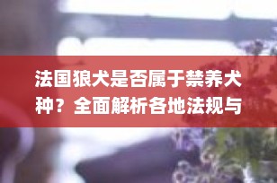 法国狼犬是否属于禁养犬种？全面解析各地法规与饲养要求