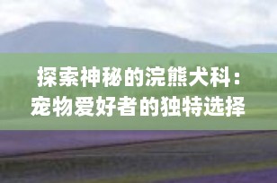 探索神秘的浣熊犬科：宠物爱好者的独特选择