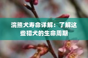 浣熊犬寿命详解：了解这些猎犬的生命周期