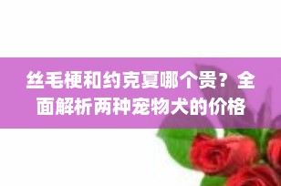 丝毛梗和约克夏哪个贵？全面解析两种宠物犬的价格差异